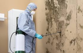 Why You Should Choose Our Mold Remediation Services in Columbia, MS